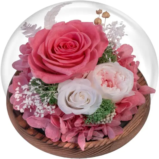 Pink Roses Preserved Real Flower in Glass Dome {1}