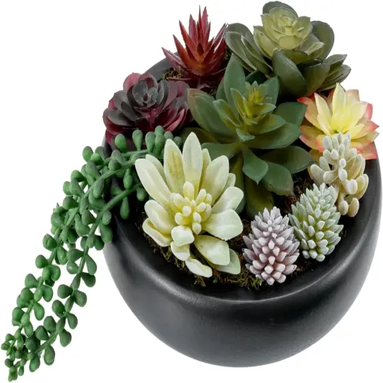 8-Inch Artificial Succulent Plant Arrangement, Assorted Fake Plants in Modern Black Round Concrete Planter Bowl {1}