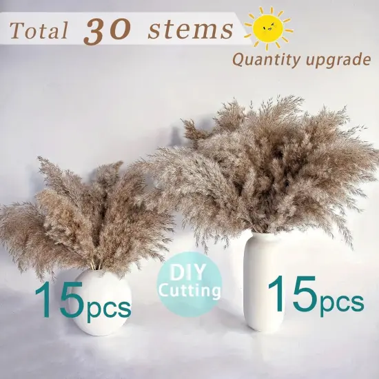 30 Stems Home Decor - Natural Dried Pampas Grass, Fluffy Brown Pompas Grass, Dry Small Pampas Bulk for Living Room Table Decor {2}