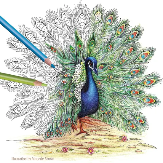 Colored Pencils, Triangular Barrel, 4mm, 72 Pieces {4}