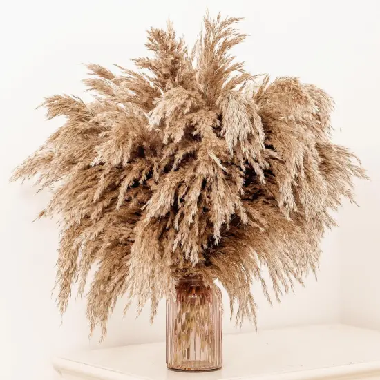 20 Pcs 23 Inch Tall Fluffy Pampas Grass XL Size Brown Dry Pompous Grass Decor Wedding Flower Boho Decor Natural Pompas Flower Bouquet {1}