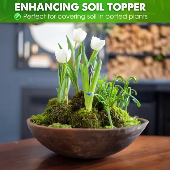 Dried Moss for Potted Plants, Forest Orchid Moss for Potting Mix, Sphagnum Potting Moss for Plants Indoor, Real Moss Soil Cover for Houseplant {3}