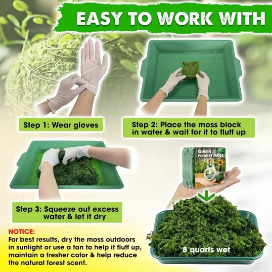 Green Moss for Crafts Decorative Moss Filler for Planters Moss Decor for Table Centerpieces Wedding Christmas Fairy Party Decor, Green Moss for Indoor Planters, DIY Project {4}