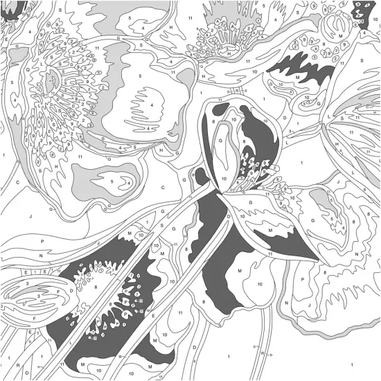 Blue Poppies Paint by Numbers for Adults, 14'' W x 11'' L {3}