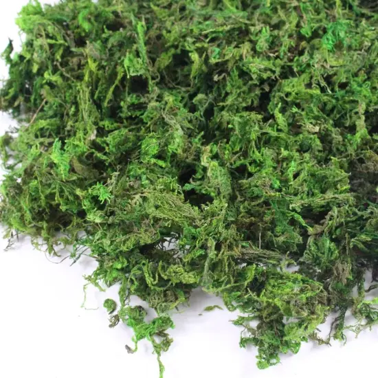 Artificial Moss, 10.5 OZ Green Moss for Decorating, Faux Moss for Crafts, Decorative Moss for Plants Indoor, Table Centerpieces, Fairy Garden Wedding Decor {2}