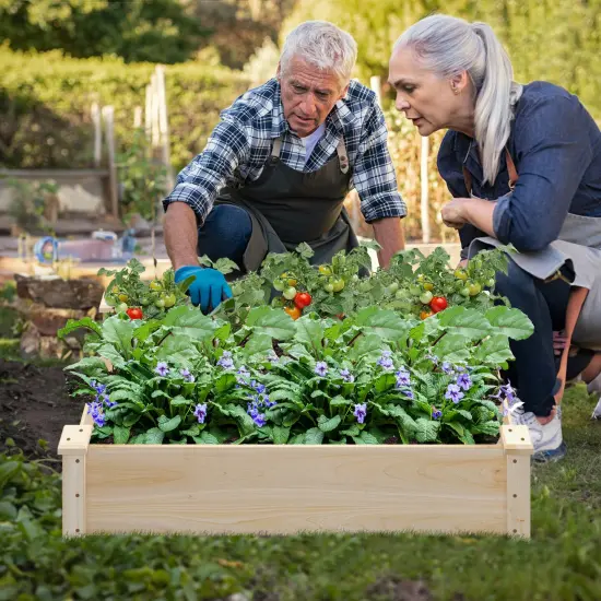 Natural Fir Wood Garden Planter Bed with Open Bottom and Large Growing Space {3}