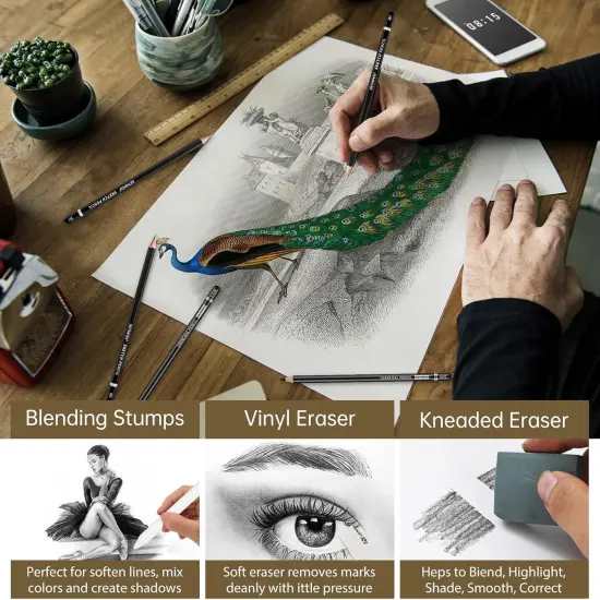 Drawing Sketching Pencil Set, 24 Piece Pro Artist Sketch Kit - Graphite Pencils (12B-4H),Charcoal Pencils for Drawing,Black and White Charcoal Pencils,Charcoal Sticks,Stumps,Eraser,Sharpeners {4}