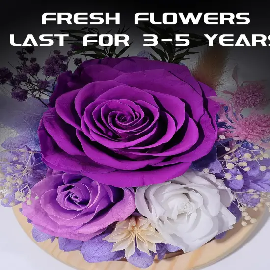 Gifts for Women Preserved Rose Forever Flower in Glass Dome Fresh Flowers for Delivery Prime Mothers Day Birthday Gifts for Mom Grandma Wife Daughter Sister Purple Roses {2}