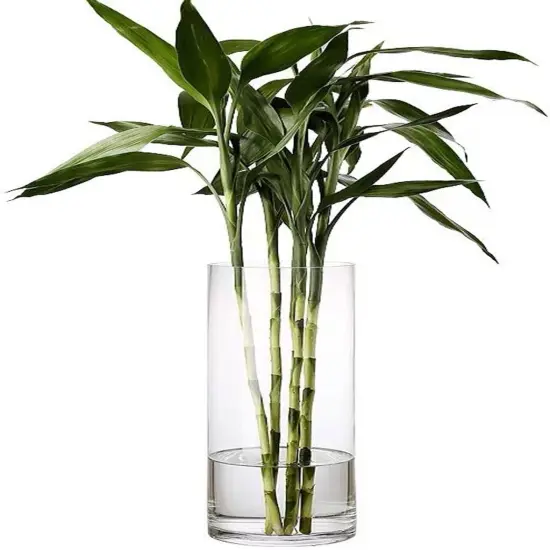 Clear Glass Vase for Flowers, 12 inches Tall Cylinder Vase Large Flower Glass Vase, Decorative Floating Candle Holder Vase for Centerpiece, Living Room, Office, Wedding or Gifts {1}
