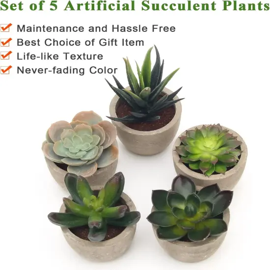 Artificial Succulent Plants Potted, Assorted Decorative Faux Succulent Potted Fake Cactus Cacti Plants with Pots, Set of 5 {4}