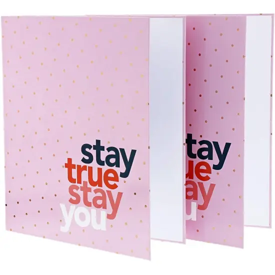 Paper Junkie 2 Pack 3-Ring Binders 1 inch Ring Pink Daily Planner - Gold Foil {1}