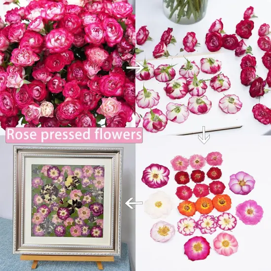 22Pcs Rose Dried Pressed Flowers for Crafts {3}