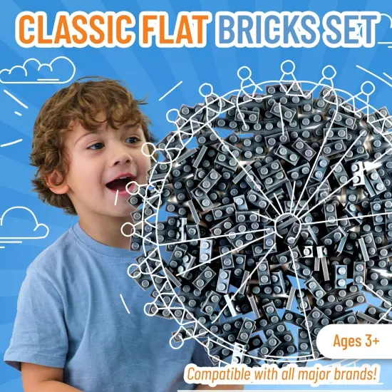 Strictly Briks Classic Flat Bricks Starter Kit, Gray, 288 Pieces, 1x2 Inches, Building Creative Play Set for Ages 3 and Up, 100% Compatible with All Major Brick Brands Grey {2}