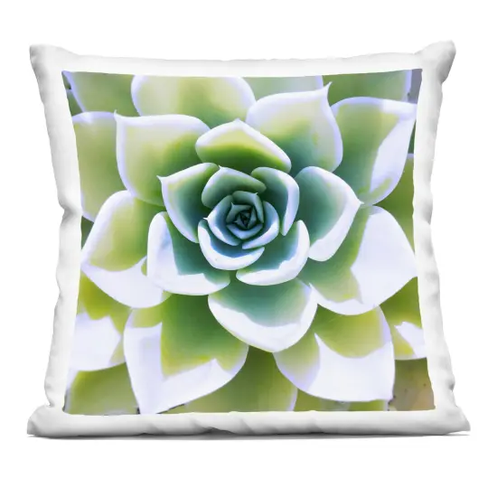 Stupell Industries Green Succulent Close Up Gardening Indoor Pillow, 18 x 7 x 18 {1}
