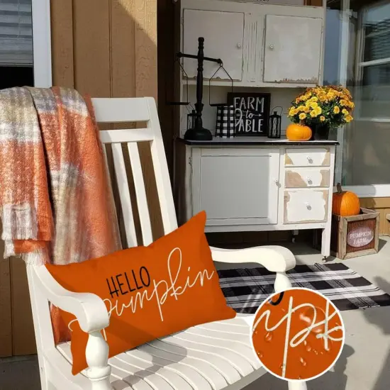 Fall Pillow Covers 12x20 Inch Outdoor Waterproof Rust Hello Pumpkin {5}
