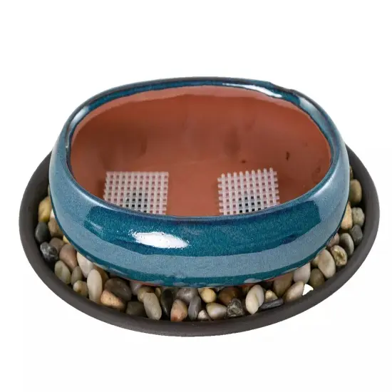 7.25" Oval Teal Green Bonsai / Succulent Pot + Tray + Rock + Mesh - Combo {1}