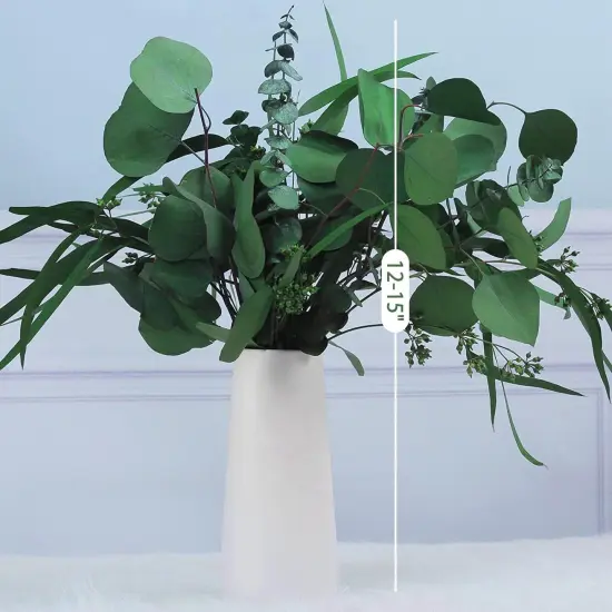 12Pcs Mixed Real Dried Eucalyptus Leaves Stems - Preserved Eucalyptus Branches, Silver Dollar Eucalyptus, Seeded Eucalyptus Bouquets for Vase Floral Arrangements Wedding Greenery Decor {3}