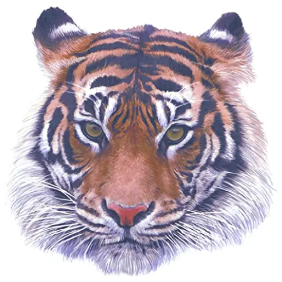 Tiger Head Edible Cake or Cupcake Topper fits 1/4 sheet cake or larger {1}