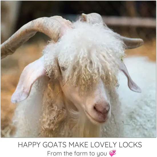 HENNA MOHAIR LOCKS. Organic Hand-Dyed Curly Wool for Rooting Doll Hair, Felting, Blending, Spinning. 1oz {6}