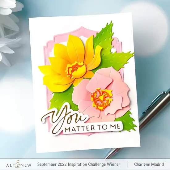 Encouraging Sentiments {4}