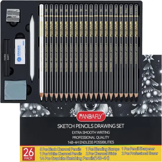 Drawing Sketching Pencil Set, 26 Piece Pro Art Pencil Sketch Kit - Graphite Pencils (14B-4H), Black and White Charcoal Pencils, Charcoal Sticks, Blending Stump, Eraser, Sharpeners {1}