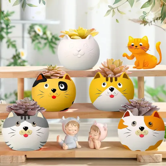 6 Set DIY Ceramic Succulent Planter Pots Paint Your Own Flower Pots Craft Kit {4}