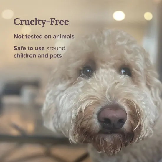 Magnificent 101 Long Lasting Gratitude Smudge Candle | 6 Oz - 35 Hour Burn | Paraffin Free Sage Scented Soy Wax Candle for Appreciation, House Energy Cleansing & Manifestation Multicolor {5}