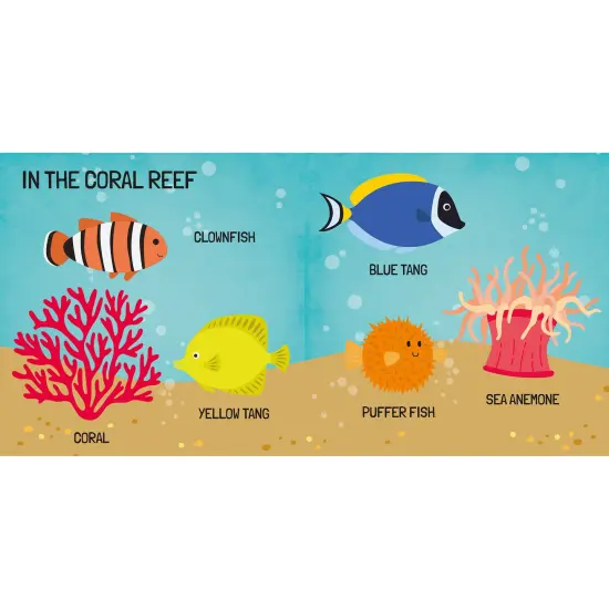 Sassi: Q-Box - The Sea - Read-Play-Learn Underwater Set, 40pc Puzzle, Booklet, 10 Ocean Figures, Storage Box, Interactive Educational Fun, Kids 4+ {6}