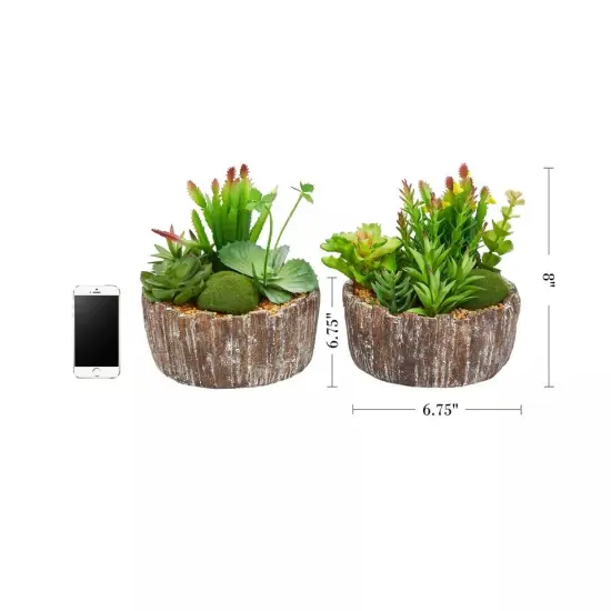 Set of 2 Faux Succulent Plants Assorted 8" Tall Greenery Plant Home Decor {4}