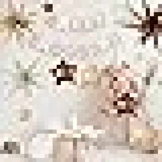 Balloon for Kids Girl Boy Birthday Boho Wedding Bridal Baby Shower Party {3}