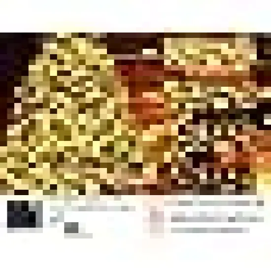 Christmas Lights for Tree Yard Party {5}