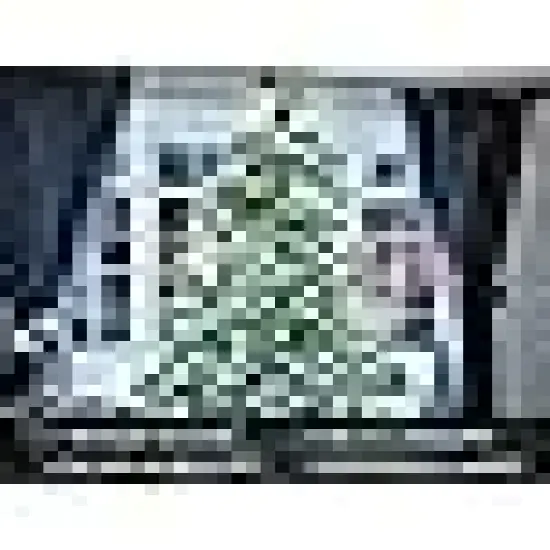 Modes LED White String Lights Indoor for Tree Wedding Party {5}