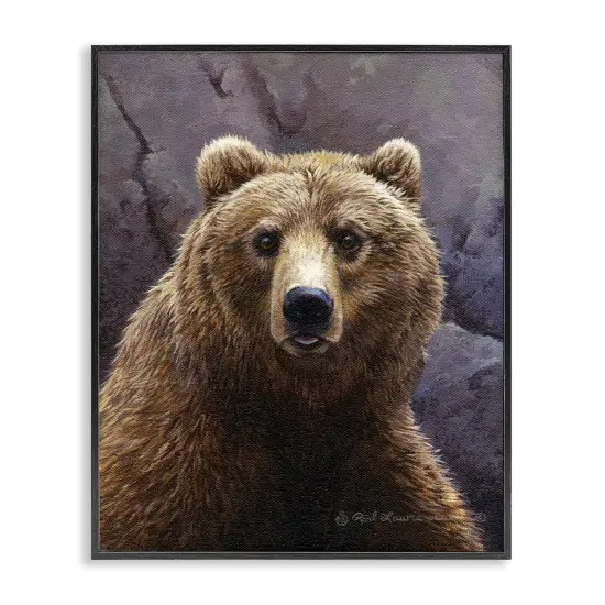 Stupell Industries Surprised Bear Portrait Framed Giclee Wall Art Design by Rod Lawrence {7}