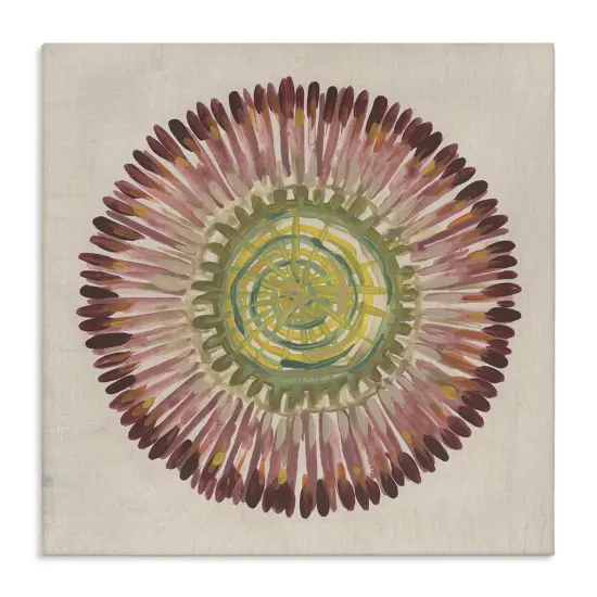 Stupell Industries Earthy Radial Aura Canvas By June Erica Vess {1}