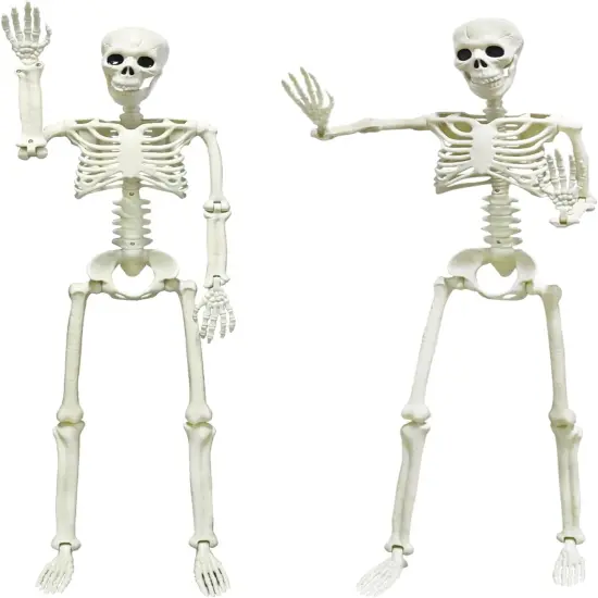 2PACK 36" Posable Skeleton Halloween Decorations {1}