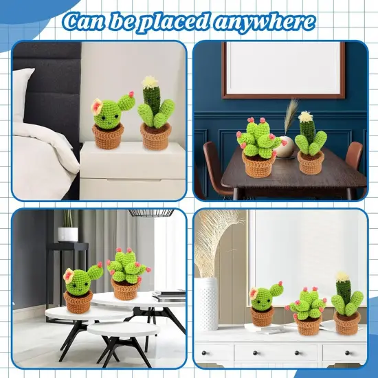 Beginner Crochet Kit - Cactus Plants Family {5}