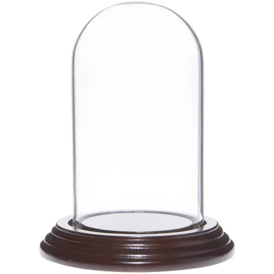 Plymor 2.5" x 4.5" Small Glass Display Dome Cloche No Base {2}
