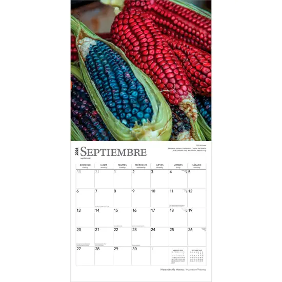 Mercados de Mexico | Markets of Mexico | 2026 12 x 24 Inch (Hanging) Monthly Square Wall Calendar | English/Spanish Bilingual | Plastic-Free {4}