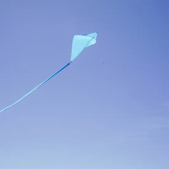 In the Breeze 3294 - Blueberry 30 Inch Diamond Kite - Solid Blue, Fun, Easy Flying Kite {4}