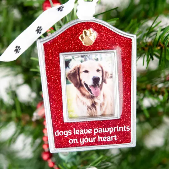 Gloria Duchin Dogs Pawprints Silver Metal Paws Photo Frame Ornament {3}