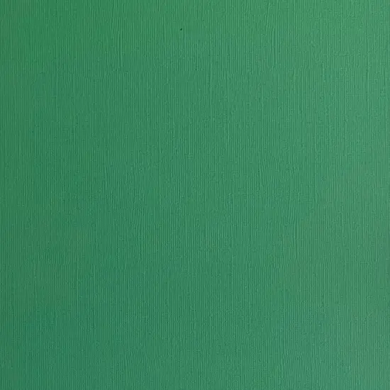 SHAMROCK - Textured 12x12 Cardstock - Encore Paper {1}