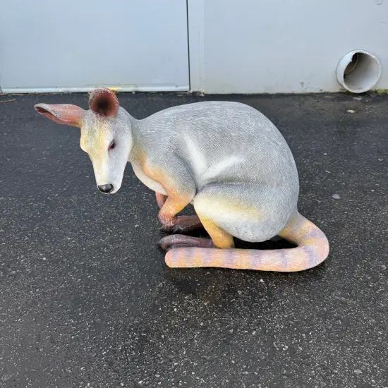 Wallaby Kangaroo Crouching Life Size Statue {4}