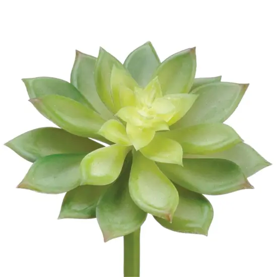 Allstate Echeveria Artificial Pick Spray - 10" - Green {1}
