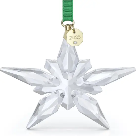 2025 Annual Edition Christmas Ornament {1}