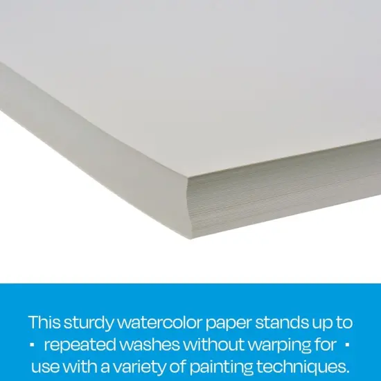 Sax Halifax Cold Press Watercolor Paper, 19 x 24 Inches, 90 lb, White, 100 Sheets {6}