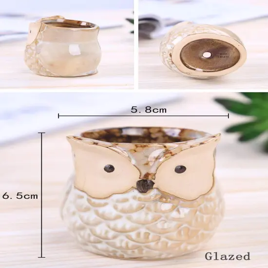 6 Pcs 2.5 Inches Owl Ceramic Pots {4}