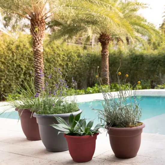 Bloem Ariana Pot Planter: 12" - Burnt Red - Durable Resin Pot, Indoor and Outdoor Use, Gardening, Self Watering Disk Included, 3 Gallon Capacity {6}