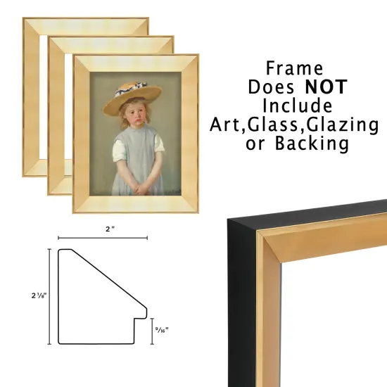 Expositions Open-Back Picture Frames For Paintings, Photos & Prints - With Gold, Set of 3 12x16" - Gallery Wall Frame- Eco-Friendly Renewal Core -Made in USA {4}