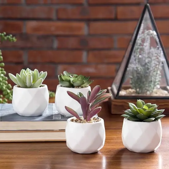 Miniature Artificial Succulents, Indoor Fake House Plants in Round White Geometric Ceramic Pots, Set of 4 {4}