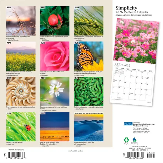 Simplicity | 2026 12 x 24 Inch (Hanging) Monthly Square Wall Calendar | Foil Stamped Cover {2}